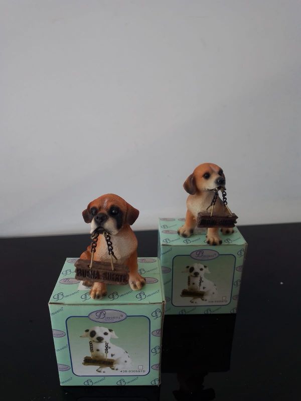 Perro XS